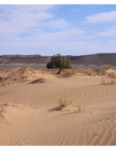 Merzouga