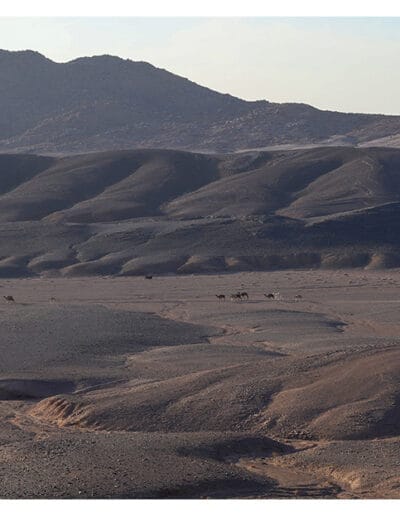 Merzouga