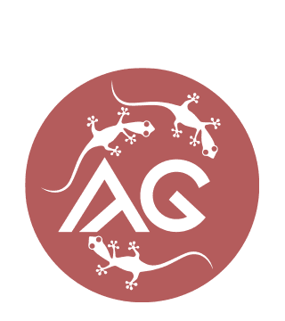 Ilustración AnaGramas