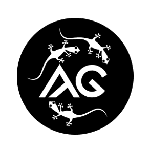 AnaGramas. Ilustración