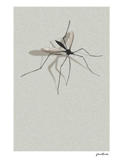 Ilustraciones AnaGramas