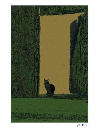 Ilustraciones AnaGramas